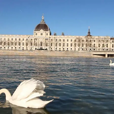 A 5 Min De Bellecour Et Quais Du Rhone, 7 Lyon
